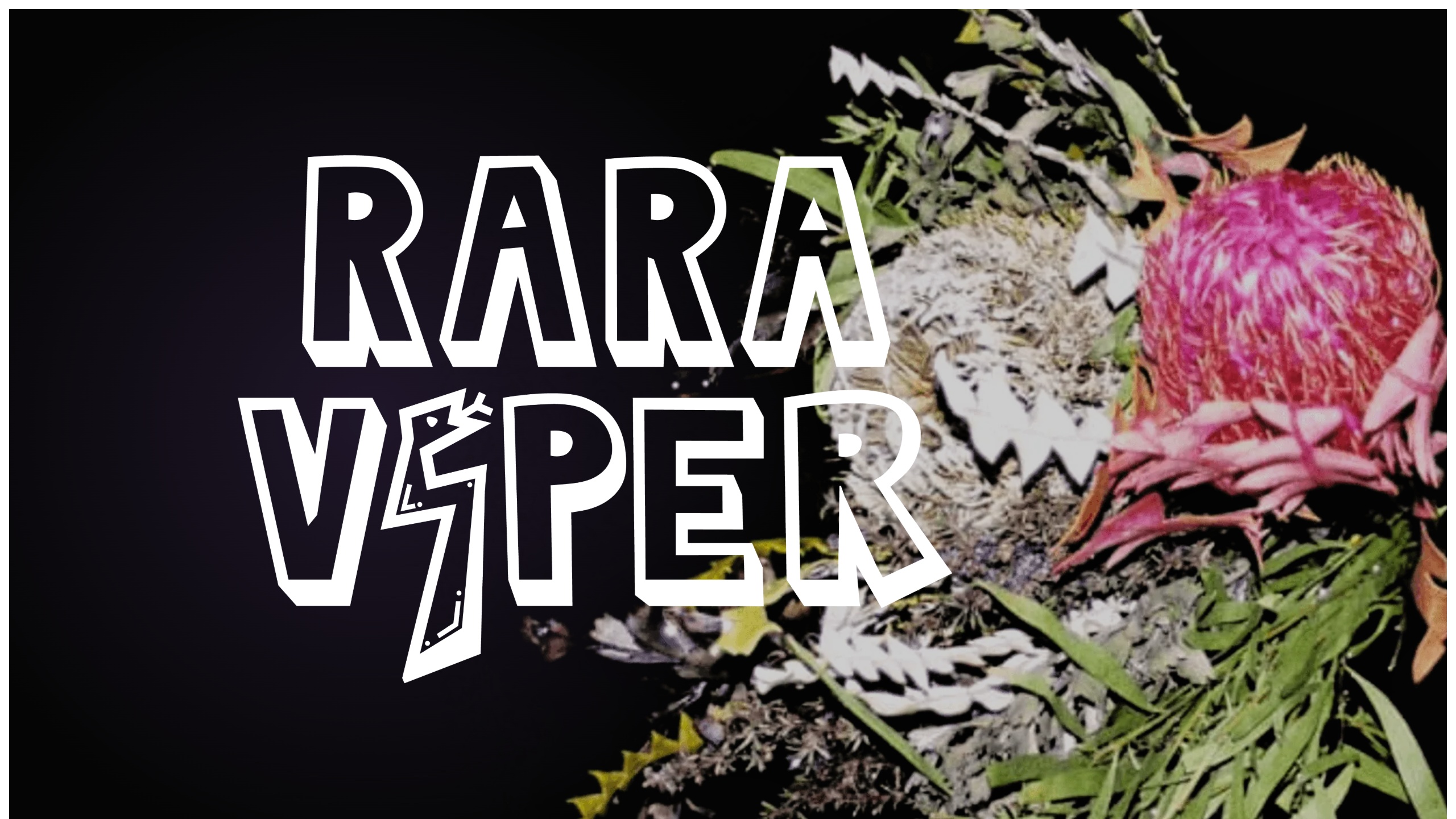 Ra Ra Viper website